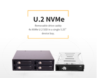 4-Bay U.2 NVMe 2,5 "SAS SSD/HDD Mobile Rack Enclosure para 5,25" Bay, con 4x MiniSAS HD ()