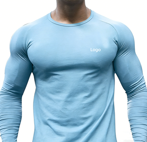 Clothing Manufacturer Custom Logo Low MOQ OEM Anti-Pilling Breathable <b>Polyester</b> Outdoor Long Sleeve Sports Mesh <b>Tshirt</b> For Men - Product Image 1