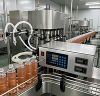 Machine de remplissage péristaltique CNC à double tête de haute qualité, dosage de précision pour jus, sauces, liqueurs et huiles