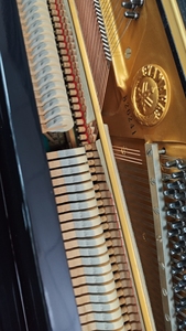 Piano Acústico U1E Clásico Usado, Producción con Componentes Totalmente Originales, Tono Brillante y Transparente - Product Image 4