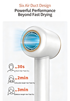 Sèche-cheveux ionique électrique portatif 1600W, professionnel pour salon et usage domestique, haute vitesse pour hôtel et extérieur