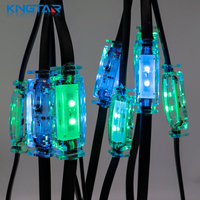 Usine en gros 24V LED galets lumière extérieure permanente IP68 Point lumières pour la construction hôtel et parc à thème décoration