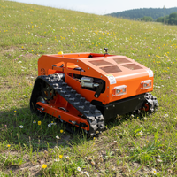 Robot tondeuse intelligent à commande à distance, certifié CE, nouvelle conception, largeur de coupe 550 mm, conception sur chenilles, autopropulsé