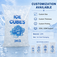 Sacs à glace en plastique alimentaire résistant aux déchirures, avec logo personnalisé, sacs à glace en LDPE