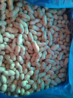 Arachides cuites surgelées IQF en coque |   Arachides salées certifiées BRC |   Arachides du Shandong en vrac pour la vente en gros