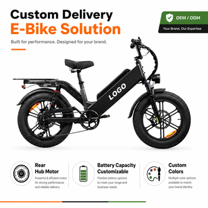 Vélo cargo électrique personnalisé D55 avec cadre en aluminium de 20 pouces, moteur à moyeu arrière, longue autonomie, batterie intégrée 48V55AH - Product Image 1