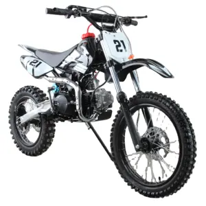 Moto Cross 4 Stroke 125cc Dirt Bike for Adult - China Dirt Bike 125cc, Dirt  Cc