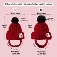 Bonnet tricoté pour animaux de compagnie avec trous pour les oreilles, bonnet chaud d'hiver pour petits chiens, chats, chiots, chatons, casquette thermique, vente en gros directe d'usine
