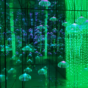 Equipo <span class=keywords><strong>de</strong></span> parque <span class=keywords><strong>de</strong></span> atracción patio interior juego <span class=keywords><strong>de</strong></span> Carnaval <span class=keywords><strong>laberinto</strong></span> mágico espejo <span class=keywords><strong>laberinto</strong></span> a la venta - Product Image 4