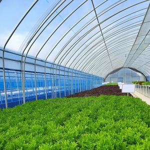 Invernadero Comercial para Cultivo de Vegetales de Hoja Americana de 10x40m |   Sistema Hidropónico con Riego Automático |   para lechuga - Product Image 2