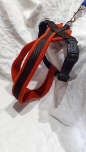 Arnés para Perro Forrado de Lana con Correa a Juego - Color Óxido y Marrón - Product Image 3