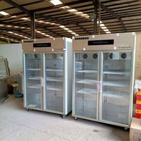 Incubateur de yaourt industriel grec de petite taille pour la fabrication de yaourt