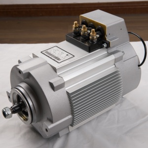 มอเตอร์ไฟฟ้ากระแสสลับ 48V 60V 72V 96V 108V 144V 312V 5KW สำหรับยานพาหนะและเรือทุกชนิด 48v 5kw มอเตอร์ไฟฟ้ากระแสสลับ 48v 48v 5kw - Product Image 5