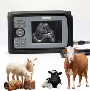 Pequeno Animal Veterinário Ultrassom Scanner - 7.5MHz Sonda Linear para Gatos/Cães - Product Image 3