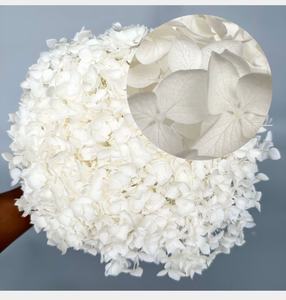 พืชตกแต่งบ้านสำหรับงานแต่งงานดอกไม้แห้งที่เก็บรักษาดอกไม้ไฮเดรนเยียสำหรับตกแต่งบ้าน - Product Image 6