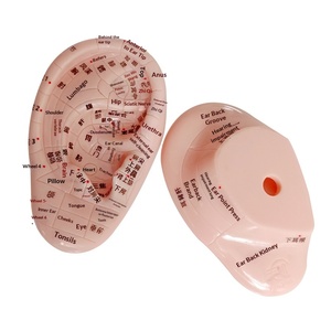 10cm耳反射区模型、マッサージ耳模型、伝統中国医学教育用鍼灸経絡模型 - Product Image 3
