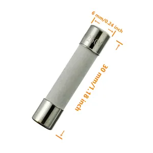 500V 6.3x32 3AG Ceramic Cartridge Fuse With Pigtails
