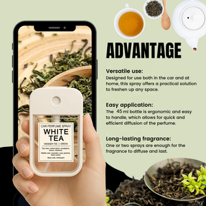 Parfum personnalisé orange pamplemousse pin <span class=keywords><strong>iris</strong></span> cèdre boisé thé frais 45ML désodorisant intérieur automatique vaporisateur de parfum de voiture - Product Image 4