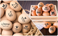 Sello de logotipo de huevo de granja, fecha personalizada, mini sello de huevo, sello de huevo flash de goma preentintado