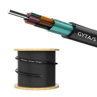 Cable de Fibra Óptica Subterráneo para Exteriores, Marca OEM y ODM, GYTA/GYTS, 2-144 Núcleos, G652D, Conductor Sólido, Negro, Certificado CE, Guangdong