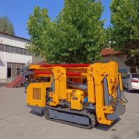 Cylindre d'huile externe pour grue araignée 3 tonnes certifiée CE, personnalisable directement en usine pour l'installation de murs-rideaux en verre