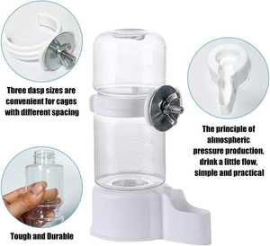 Toptan otomatik şeffaf çanaklar kuş dağıtıcı papağan güvercin Starling besleyici otomatik kuş tiryakisi kuş malzemeleri - Product Image 3