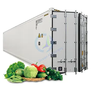 OCEAN Solar Powered Cevada Forragem Sistema Tomate Vertical Farm Container para Crescer Erva