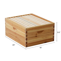 Super Beehive 10 marcos 8 marcos Bee Hive Boxes Equipo de apicultura de madera ecológico