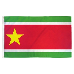 Bandera de <span class=keywords><strong>Guadalupe</strong></span> para el Día Nacional de la Independencia, 3x5 pies, Poliéster, Logotipo Personalizado, Dos Ojales de Latón, Eventos Deportivos, Interior/Exterior - Product Image 1