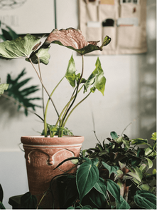 Pot de fleurs en céramique émaillée de style nordique simple, rétro romain, sur pied, avec trou de drainage, motif en relief, grande ouverture - Product Image 4