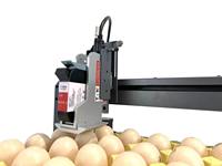 Machine d'impression d'œufs à grande vitesse pour le codage et le marquage des logos, dates d'expiration, numéros de lots et codes-barres sur les plateaux d'œufs de poules