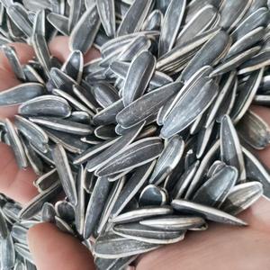 Semillas de Girasol Frescas Originales de Primera Calidad, Crudas y Secas, de <span class=keywords><strong>Mongolia</strong></span> Interior, 1 kg, Venta al por Mayor de Snacks - Product Image 1