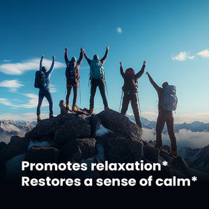 Grosir Label putih pelangsing kapsul ekstrak teh hijau <span class=keywords><strong>l</strong></span> Theanine kapsul 500mg <span class=keywords><strong>l</strong></span>-theanine kapsul - Product Image 3