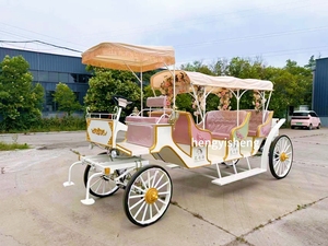 Véhicule électrique de tourisme idéal pour les parcs d'attractions, calèche à chevaux à vendre - Product Image 1