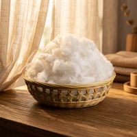 Fibre de polyester recyclée conjuguée creuse, matériau de rembourrage, matière première textile 100% polyester