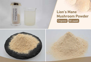 中国メーカー供給 オーガニックきのこ粉末 卸売価格 ヤマブシタケ粉末 - Product Image 2