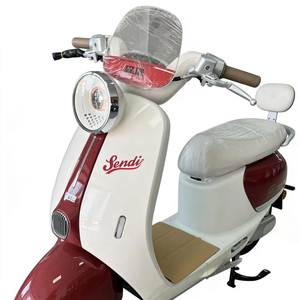 Bicicleta de Montaña de Aluminio sin Escobillas de Alta Gama para Mujeres Adultas, Modelo EVRIDE A033, 40 Km/h, 60V - Product Image 2