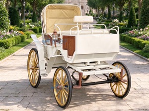 Voiture électrique Victoria à roues, carrosserie en acier blanc, roues dorées, chariot électrique de tourisme, batterie au plomb-acide, voiture de mariage - Product Image 1