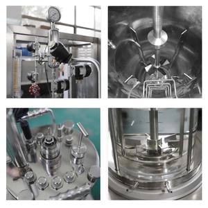 Innova 5l 1000l Biologische Reactor Industriële Microbiologie Roestvrijstalen Fermentatietank Oem 1 Jaar Garantie Ce Gecertificeerd - Product Image 3