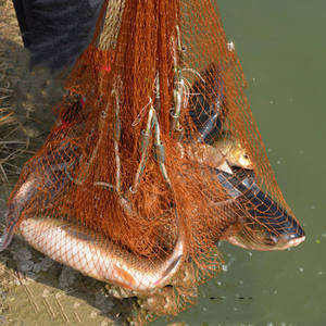 Stile giapponese del Pezzo Fuso di Pesca Net-Piombo Catena Rete da pesca senna con tasca della borsa senna con tasca per la pesca in il lago - Product Image 5