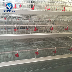 Capannone per Pollame per Allevamento di Polli da Carne/Progettazione Gabbie per Galli in Vendita/Prezzo Gabbie per Polli Tipo A per Fattoria in Uganda - Product Image 4