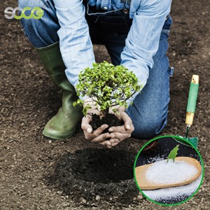 Siêu thấm polymer Hydrogel nông nghiệp kali Polyacrylate cho các nhà máy superabsorbent nước hấp thụ tinh thể - Product Image 3