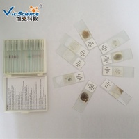 Microscope Prepared Slides 100pcs Mixed Science Survey Microscope Mineral Thin Section Slides Set