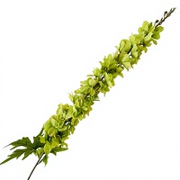 Fleurs artificielles de delphinium pour mariage, rangée de fleurs en soie, fausses fleurs pour allée de mariage, arrangement floral décoratif