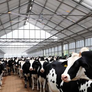 Giá Rẻ Giá Big Ass Pmsm 220V 380V DC Động Cơ 8ft <span class=keywords><strong>250Mm</strong></span> Công Nghiệp Quạt Trần Cho Kho Phòng Tập Thể Dục Hội Thảo - Product Image 3