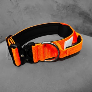 Collares Led Personalizados con Logotipo para Perros, <span class=keywords><strong>Collar</strong></span> de Nailon Táctico Resistente con Luz Led, Recargable por USB - Product Image 2