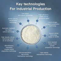 Fórmula Probiótica Multi-Cepa Lactobacillus Plantarum CCFM1143 de Fabricante, Servicio OEM para Control Metabólico y de Peso