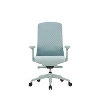Chaise de bureau ergonomique et tendance, colorée, avec dossier en maille respirante, support lombaire, accoudoirs 4D et roulettes