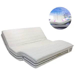 Luxuriant European Mattress Included Electric Adjustable Music Bed