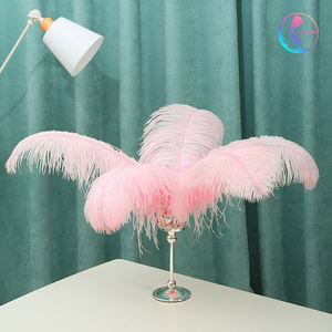 Spot vente en gros en vrac 35-80 <span class=keywords><strong>cm</strong></span> grands pôles panache <span class=keywords><strong>plumes</strong></span> <span class=keywords><strong>d</strong></span>'<span class=keywords><strong>autruche</strong></span> blanches pour la fête de mariage artisanat et <span class=keywords><strong>d</strong></span>écoration de la maison - Product Image 4